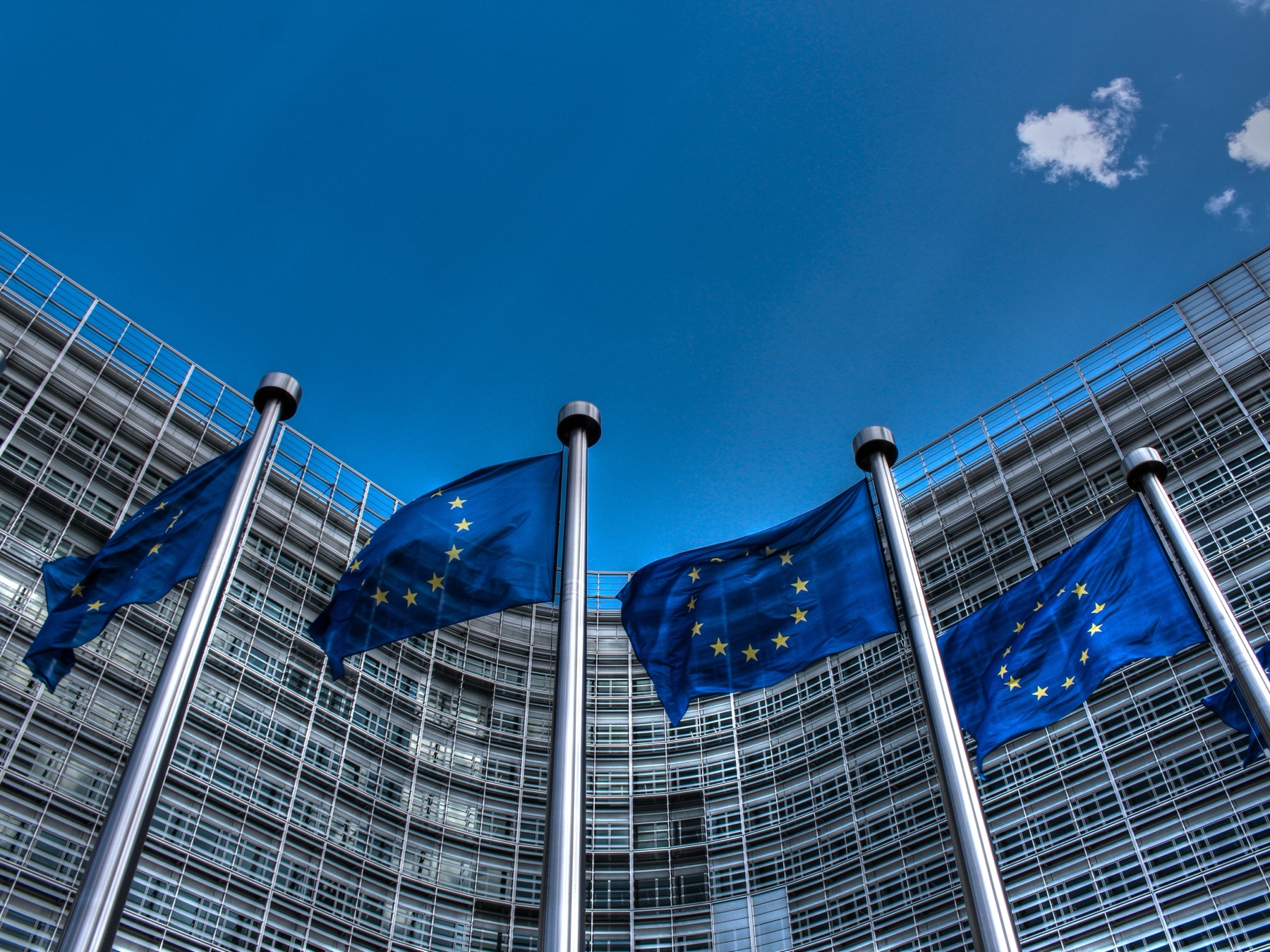 European Union flags outside an institutional building